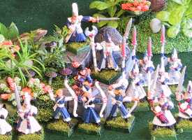 My Shadow Elves - used in Lustria