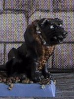 Wardog